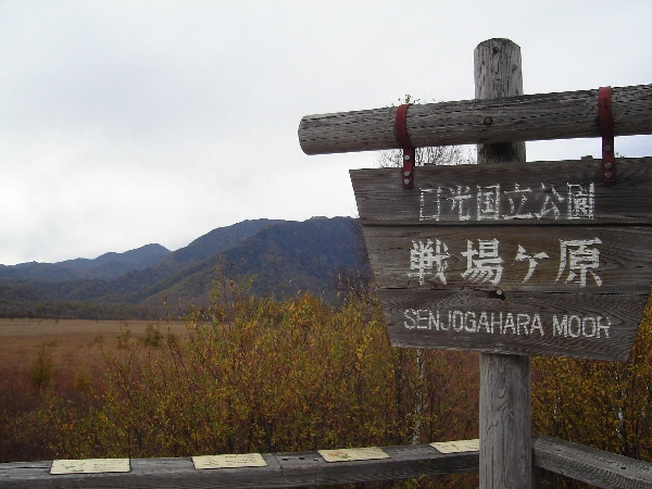 f0006510_0291320.jpg
