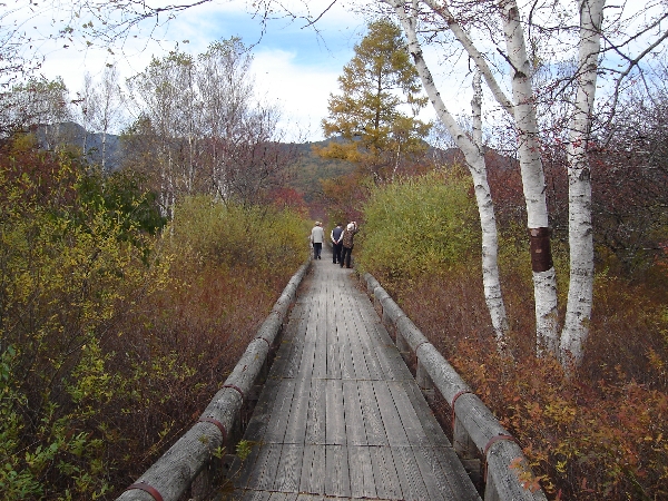f0006510_0353210.jpg
