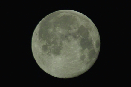 b0137311_194639100.jpg
