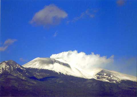 ２００９カレンダー川柳ただいま審査中_f0105218_18184390.jpg