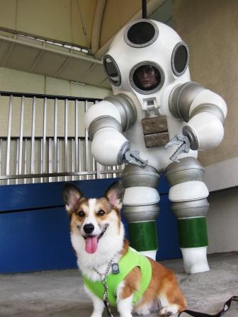 お台場散歩… ~コスモスが見たくって…_f0155118_64005.jpg