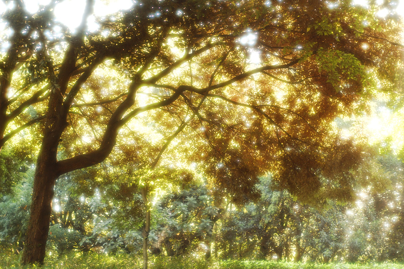 a0059621_23391023.jpg