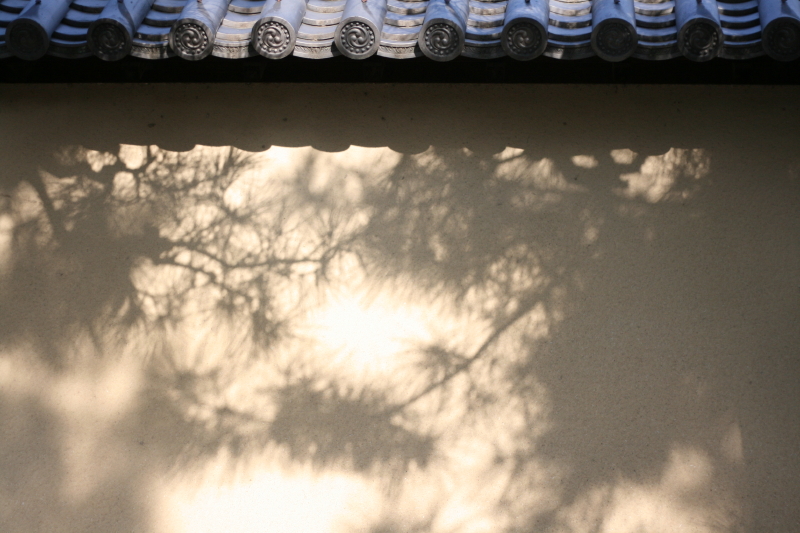 b0132924_2121666.jpg