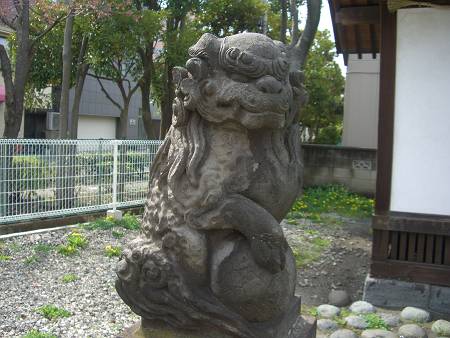 E区の狛犬　葛西地区２　八雲神社_d0065324_20372513.jpg