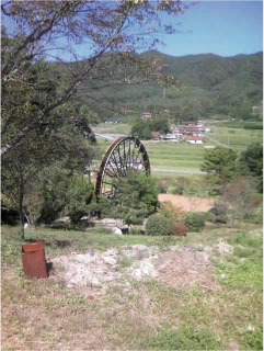 f0160227_10363553.jpg