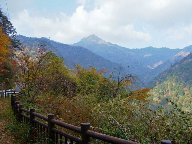 c0141933_0275867.jpg