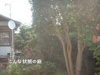地上最強の女仕事人ペア & 仕事人_f0031037_202639.jpg