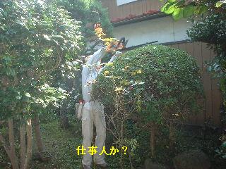 地上最強の女仕事人ペア & 仕事人_f0031037_20365894.jpg