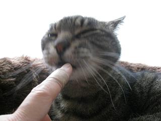 e0113040_2150363.jpg