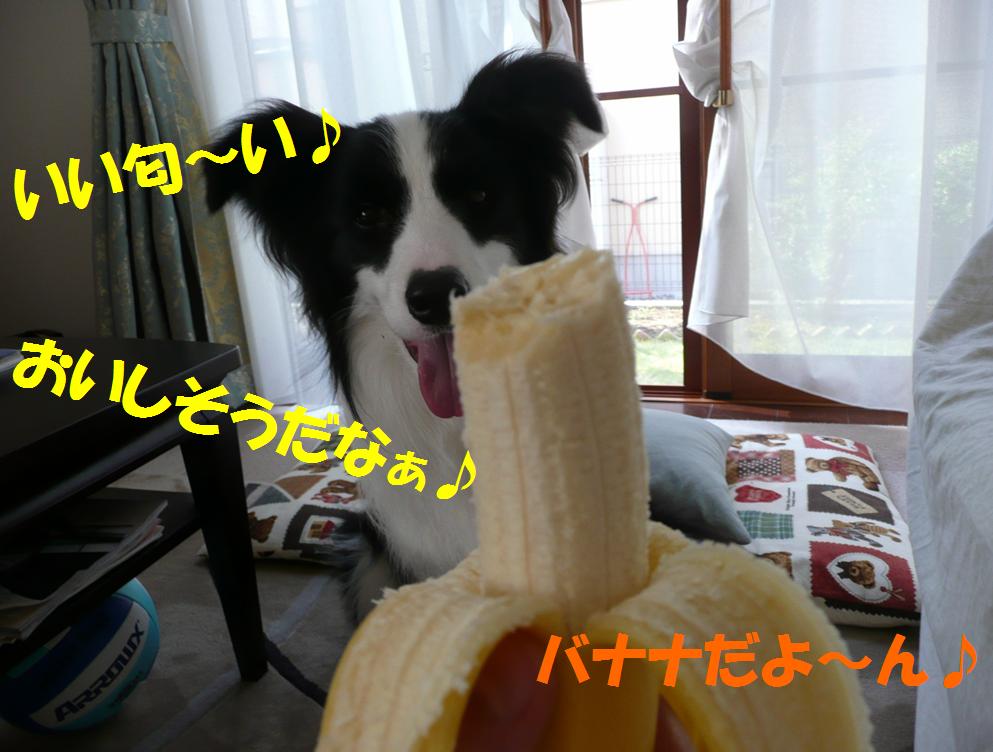 c0147241_091842.jpg