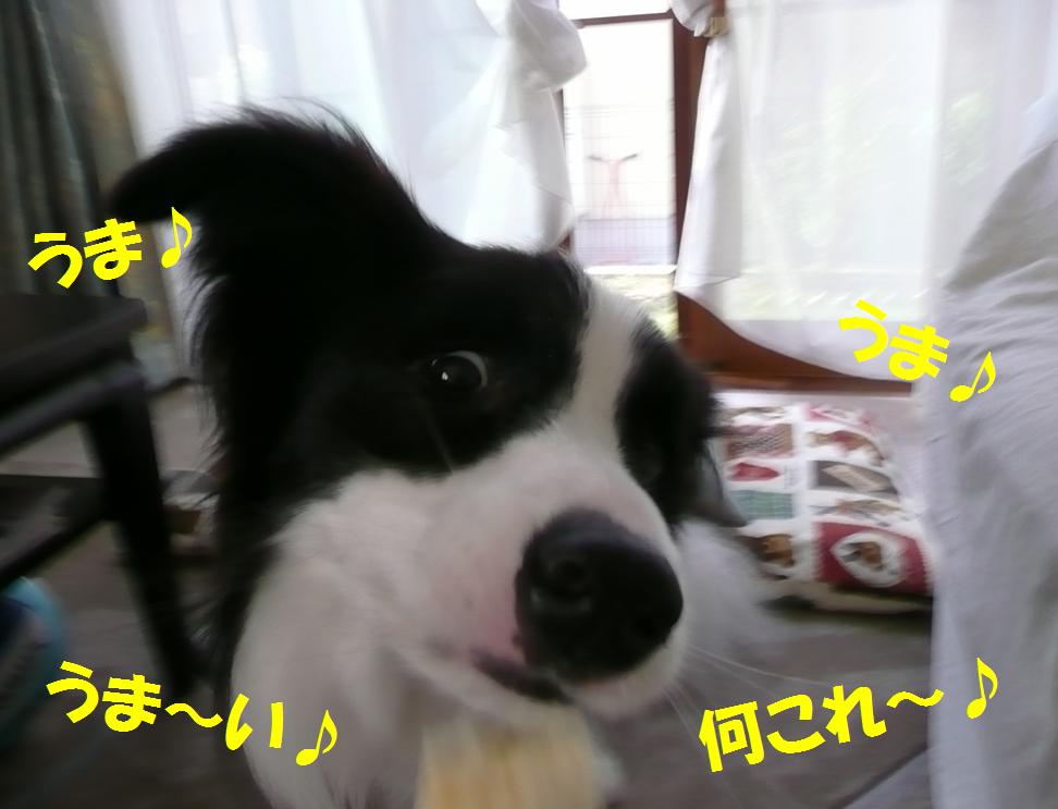 c0147241_092629.jpg