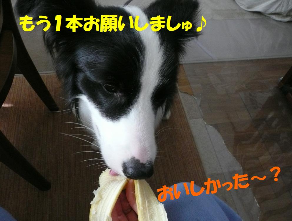 c0147241_093629.jpg