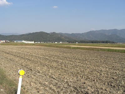 稲刈りの終わった八色原の田んぼ_a0084753_15454289.jpg