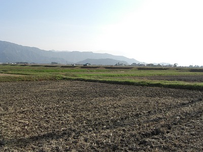 稲刈りの終わった八色原の田んぼ_a0084753_15455262.jpg