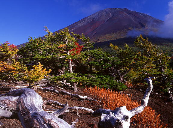b0083855_0462151.jpg