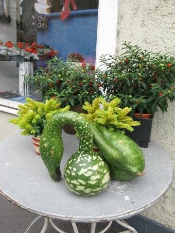 Natural artist_c0157558_20371786.jpg