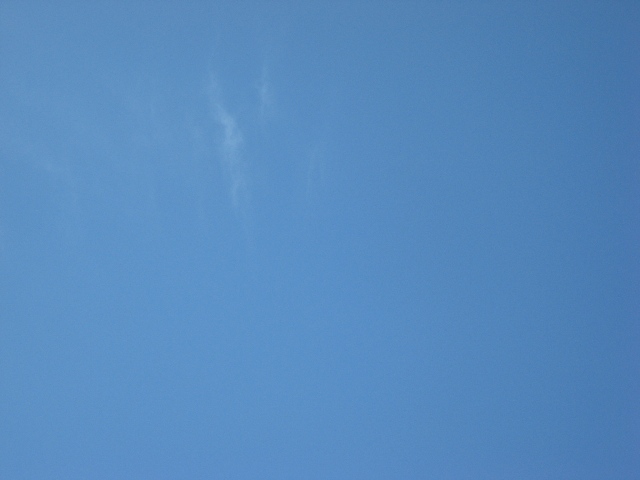 d0037159_1524214.jpg