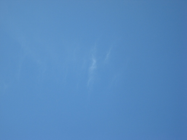 d0037159_153319.jpg