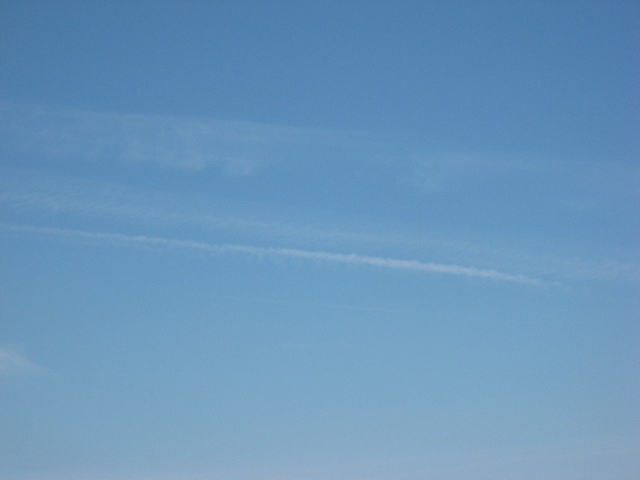 d0037159_153490.jpg