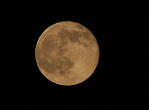 c0108460_1243546.jpg