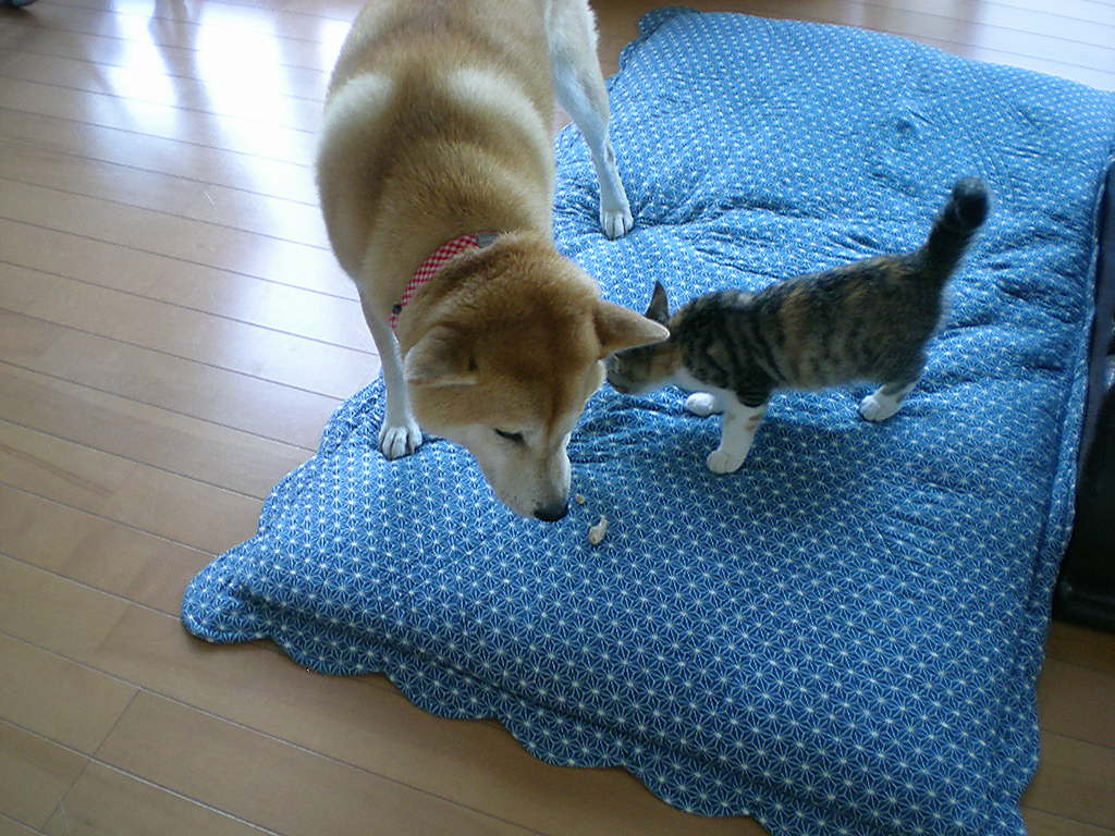 2008年10月16日(木)年金相談日!_f0060461_16495595.jpg