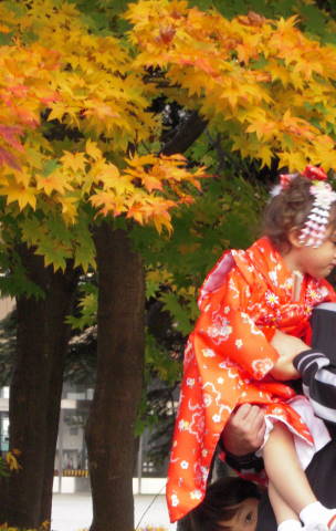 七五三です♪　神社に行きました_e0092362_1231224.jpg