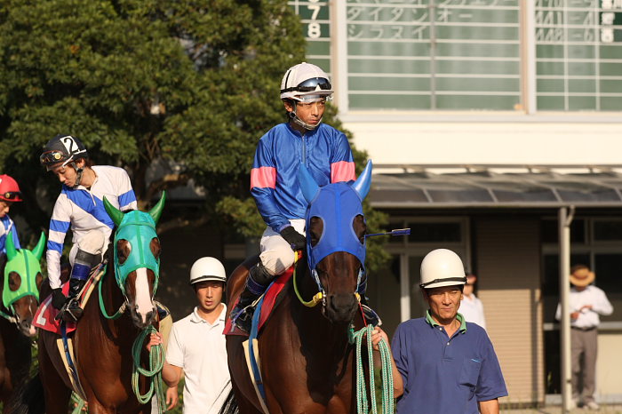 2008年10月13日（月） 高知競馬 9R 寒露特別_a0077663_1828441.jpg