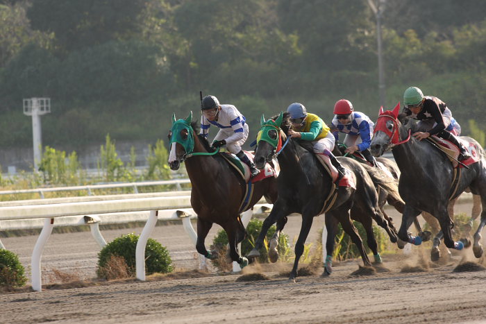 2008年10月13日（月） 高知競馬 9R 寒露特別_a0077663_18285511.jpg