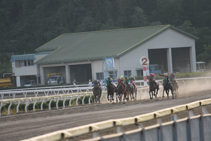 2008年10月13日（月） 高知競馬 9R 寒露特別_a0077663_18291413.jpg