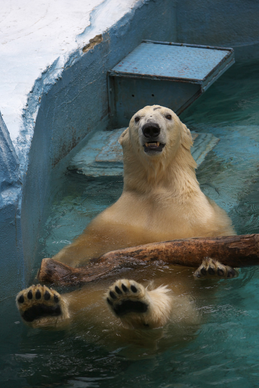 天王寺動物園574_e0060169_6363230.jpg