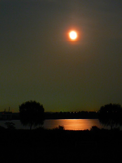 遊水地の月_d0010073_2220665.jpg