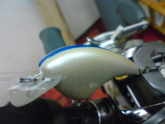 マイナーチェンジ_a0040876_20564099.jpg