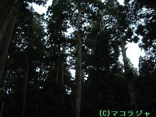 f0053077_14465.jpg