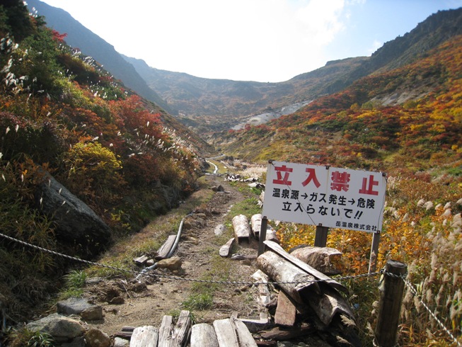 a0087378_4204035.jpg