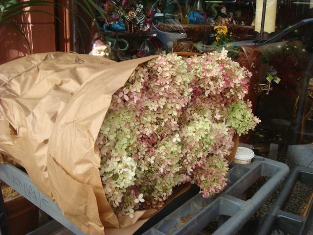 d0100880_2194240.jpg