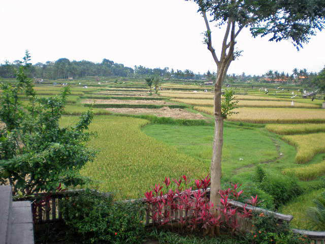 e0141982_17535327.jpg