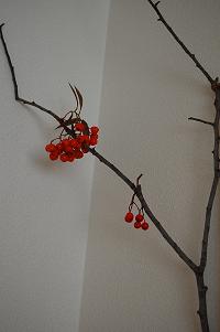 c0159986_20214680.jpg