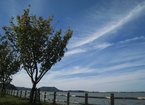 f0157387_17154113.jpg
