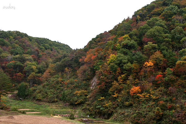紅葉情報!_c0048494_11464427.jpg