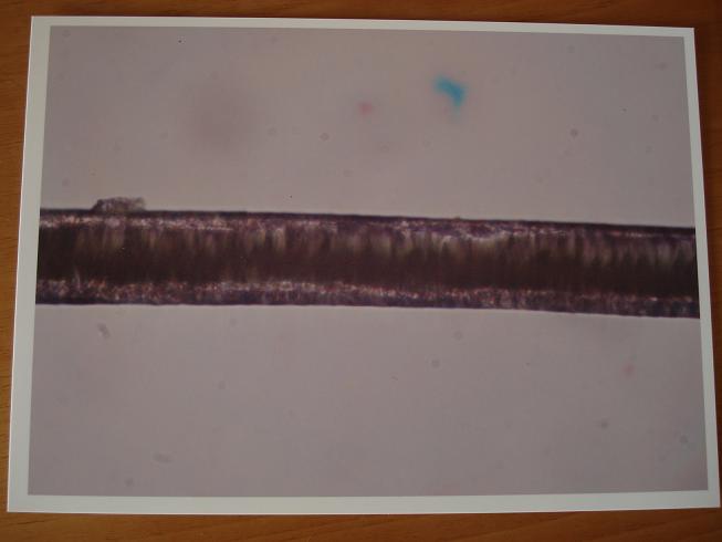 f0075595_23503082.jpg