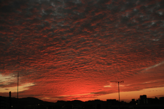c0129498_0362530.jpg