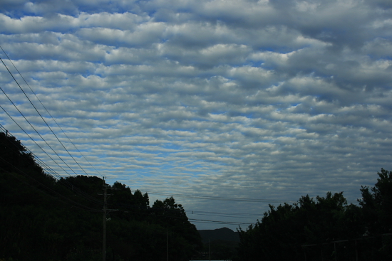 c0129498_10174135.jpg