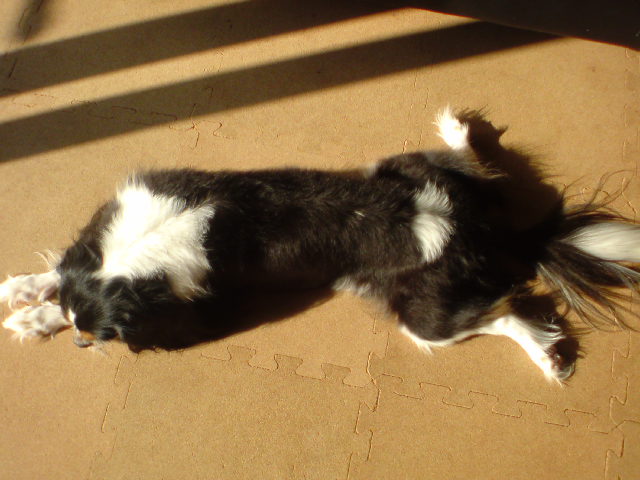a0073602_13372636.jpg