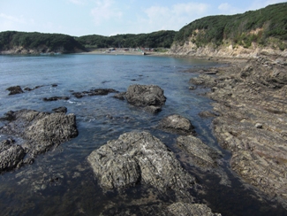 a0081406_401050.jpg