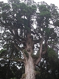 4県横断!!_b0078006_0502982.jpg