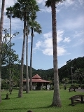 4県横断!!_b0078006_0574880.jpg