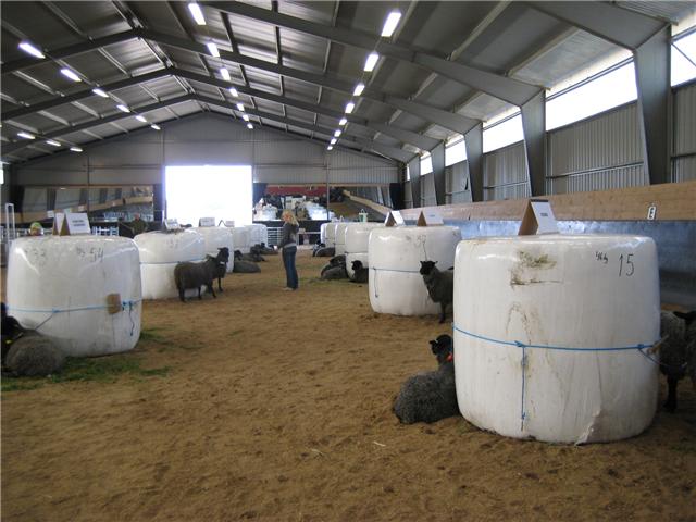 c0100110_22471479.jpg