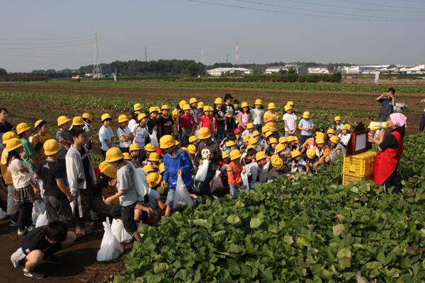 和光市広沢小とマイケル_d0130714_1156483.jpg