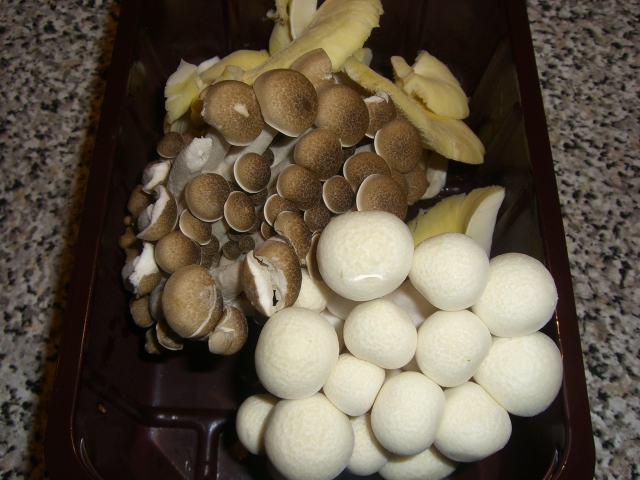 f0077414_1032313.jpg