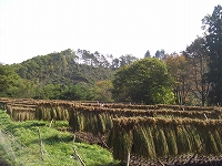 a0023043_18113511.jpg